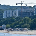 Kolos rośnie nad Bałtykiem przy samej plaży. "Dla pieniędzy człowiek zniszczy wszystko" 