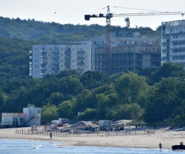 Kolos rośnie nad Bałtykiem przy samej plaży. "Dla pieniędzy człowiek zniszczy wszystko" 