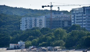 Kolos rośnie nad Bałtykiem przy samej plaży. "Dla pieniędzy człowiek zniszczy wszystko" 