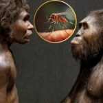 Komary nie zawsze atakowały ludzi. Oto dlaczego zaczęły nas gryźć