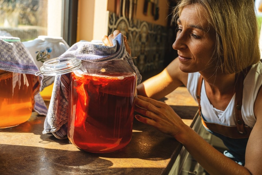 Kombucha. Jak rodzaj herbaty wpływa na prozdrowotne działanie napoju? /Shutterstock