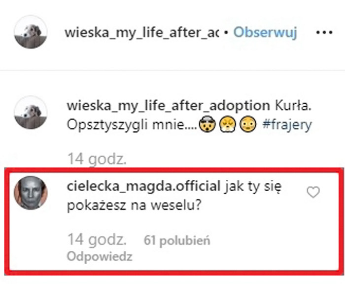 Komentarz Magdy pod wpisem psa Zborowskiej /Instagram /Instagram