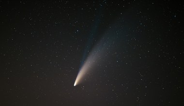 Kometa 62P/Tsuchinshan zbliża się do Ziemi. Jak obserwować?  