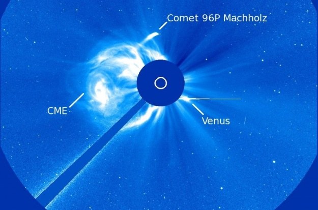 Kometa 96P Machholz krąży wokół Słońca. SOHO zaoibserwowała ją już 3 razy.   Fot. NASA /materiały prasowe