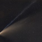 Kometa C/2023 A3 zaświeci jaśniej niż gwiazdy. Zbliży się do Ziemi w 2024 roku