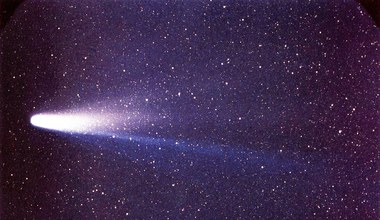 Kometa Halleya najdalej od Słońca. Na jej zbliżenie poczekamy latami