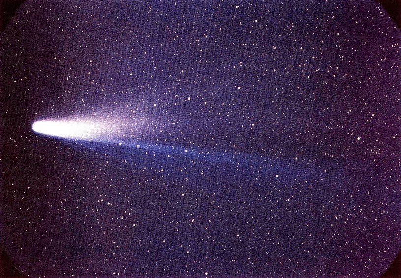 Kometa Halleya sfotografowana w 1986 r. / NASA/W. Liller /materiał zewnętrzny