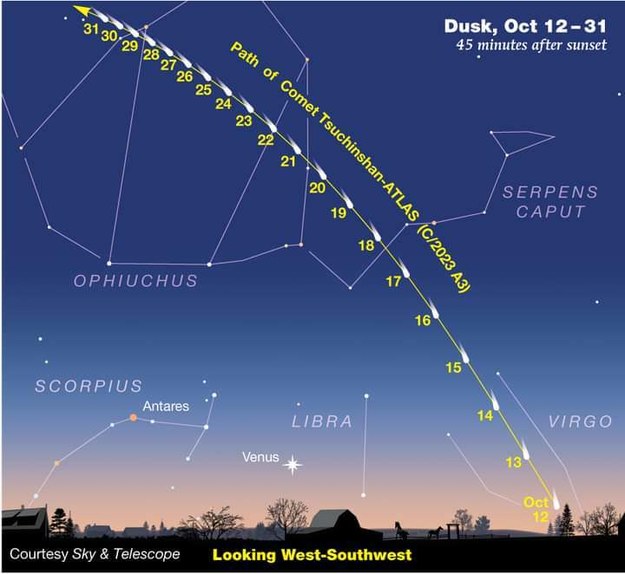 Kometa jak widać będzie widoczna przez cały październik. Choć rzeczywiście po 12 października będzie najjaśniejsza /