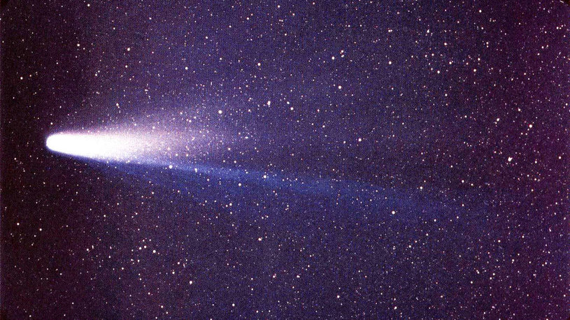 Komety zbliżone rozmiarem do komety Halleya mogą być obecne w wielu rejonach wszechświata /NASA