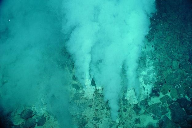 Kominy hydrotermalne źródłem złota? /materiały prasowe