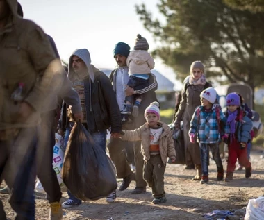 ​Komisarz Awramopulos: Austriacki limit imigrantów sprzeczny z prawem UE 