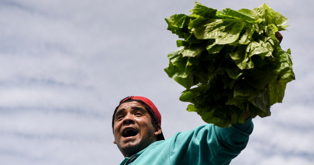 Komisja Europejska chce podpisać umowę o wolnym handlu z krajami Mercosur. Na zdj. argentyński farmer podczas protestu rolników w Buenos Aires /Eitan ABRAMOVICH /AFP