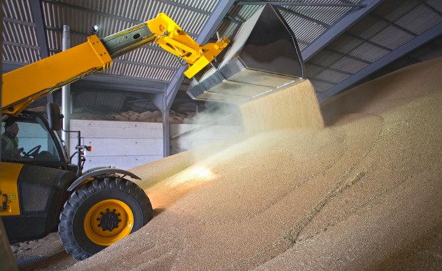 Komisja Europejska pomoże w wywiezieniu ukraińskiego zboża z Polski