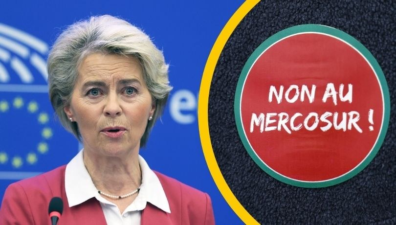 Komisja Europejska żałuje decyzji Parlamentu Europejskiego ws. umowy z krajami Mercosur (zdj. poglądowe) /YOAN VALAT  /PAP/EPA