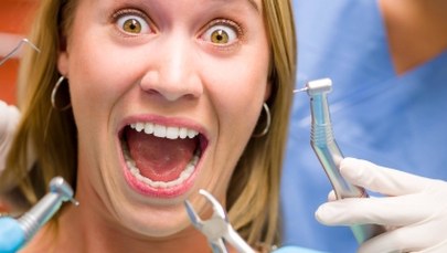 Komórki macierzyste zregenerują nam zęby?