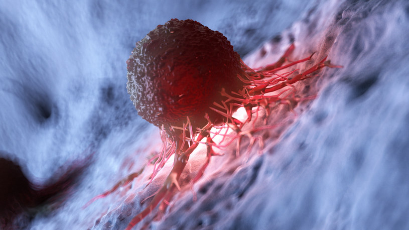 Komórki nowotworowe mają swój własny mikrobiom /123RF/PICSEL