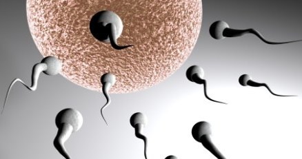 Komórki zamiast antykoncepcji? /Komórkomania.pl