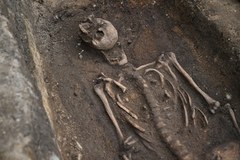 Kompletny szkielet pod płytą z wizerunkiem rycerza