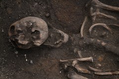Kompletny szkielet pod płytą z wizerunkiem rycerza