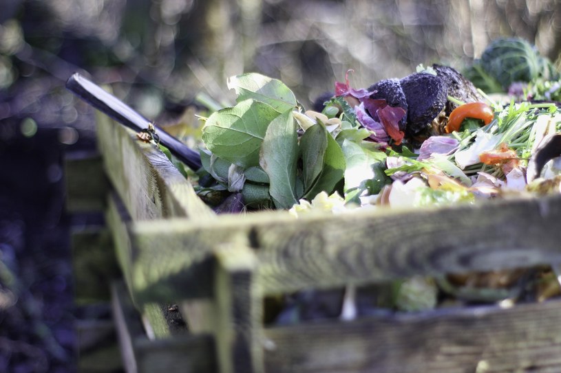 Kompost można zastosować na grządki z warzywami w październiku lub listopadzie /Pixabay.com