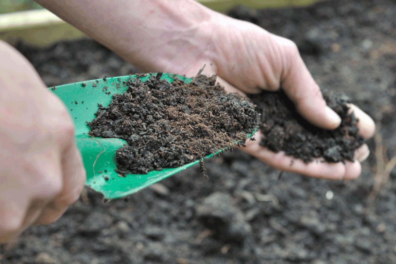 Kompost nie tylko użyźni glebę, ale też ją spulchni i nawilży /123RF/PICSEL