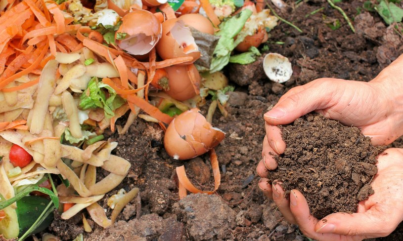 Kompost to nawóz w pełni naturalny /Pixabay.com