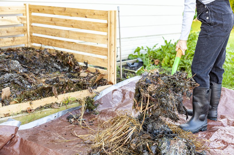 Kompost z resztek roślin to doskonały wspomagacz dla roślin uprawianych w przydomowym ogrodzie. Jak go zrobić i stosować? /123RF/PICSEL /123RF/PICSEL