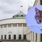 Sejm RP Kompromitacja w Sejmie. Debatowali o wilkach, pokazali inne zwierzę