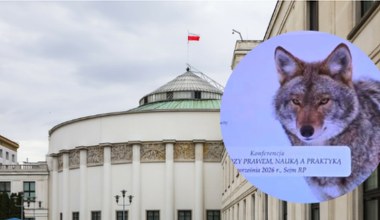 Kompromitacja w Sejmie. Debatowali o wilkach, pokazali inne zwierzę