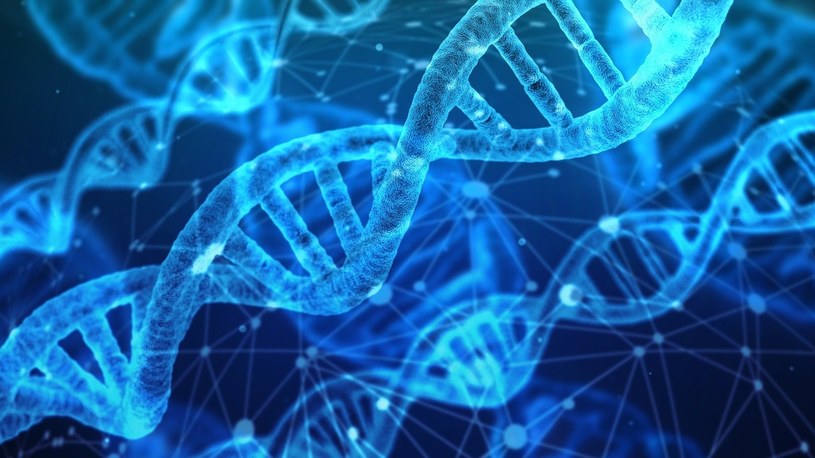 Komputer stworzony z DNA potrafi obliczyć pierwiastek kwadratowy 900 /Geekweek