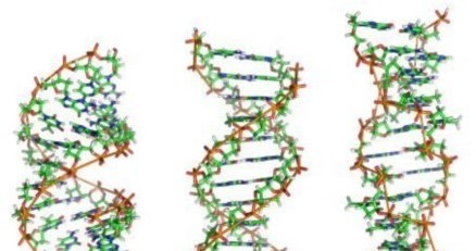 Komputerowe DNA    fot. Richard Wheeler /materiały prasowe