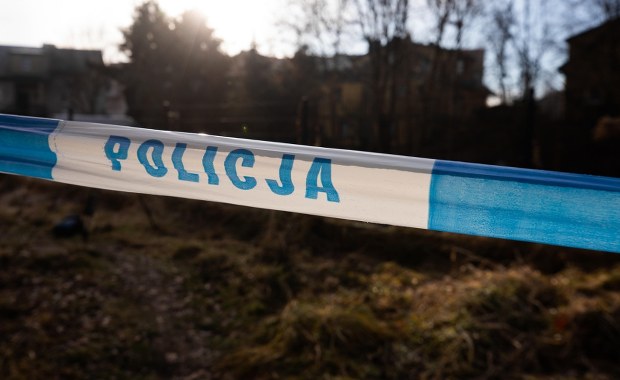 Komunikat MSWiA ws. 12-latki z Jeleniej Góry zatrzymanej w związku z zabójstwem