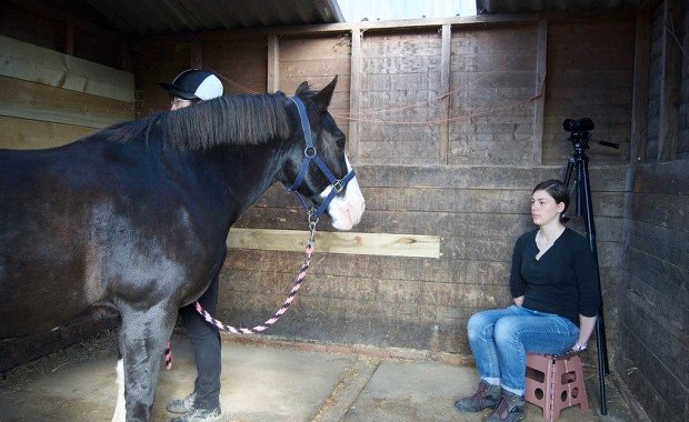 Koń by sie uśmiał? Niekoniecznie...