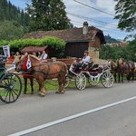 Koń kopnął 14-latka. O krok od tragedii podczas orszaku weselnego