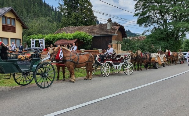 Koń kopnął 14-latka. O krok od tragedii podczas orszaku weselnego