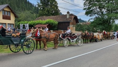 Koń kopnął 14-latka. O krok od tragedii podczas orszaku weselnego
