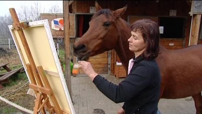 Koń malujący obrazy