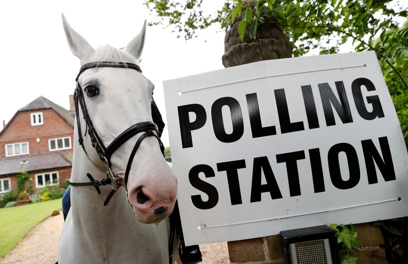 Koń przed lokalem wyborczym /AFP