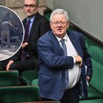 Koń przewrócił się w drodze do Morskiego Oka. Minister rolnictwa zapowiada kontrole