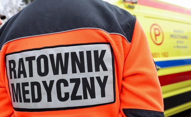 Koń wpadł w ludzi na festynie na Opolszczyźnie. Ranne jest dziecko