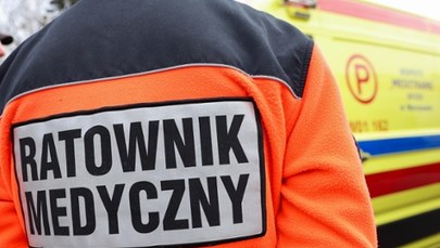 Koń wpadł w ludzi na festynie na Opolszczyźnie. Ranne jest dziecko