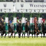 Koń z kontuzją zmuszony do biegu, a później uśpiony. Jest śledztwo