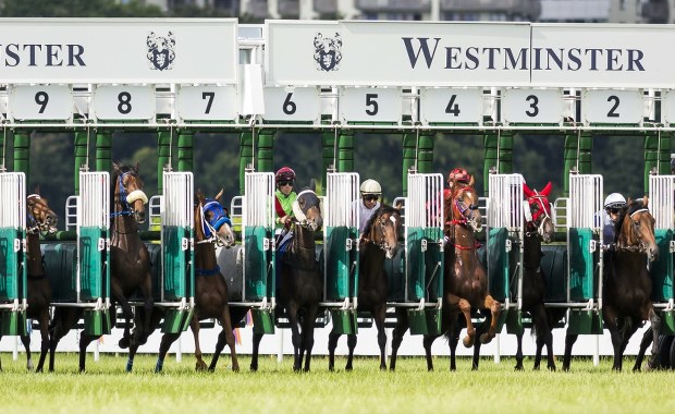 Koń z kontuzją zmuszony do biegu, a później uśpiony. Jest śledztwo