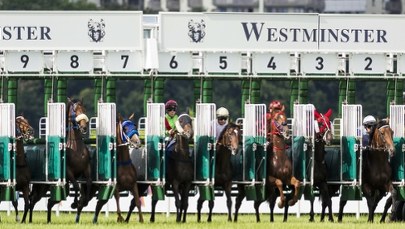 Koń z kontuzją zmuszony do biegu, a później uśpiony. Jest śledztwo