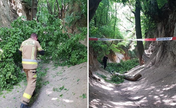 Konar spadł na dzieci. Są ranni, lądował śmigłowiec LPR