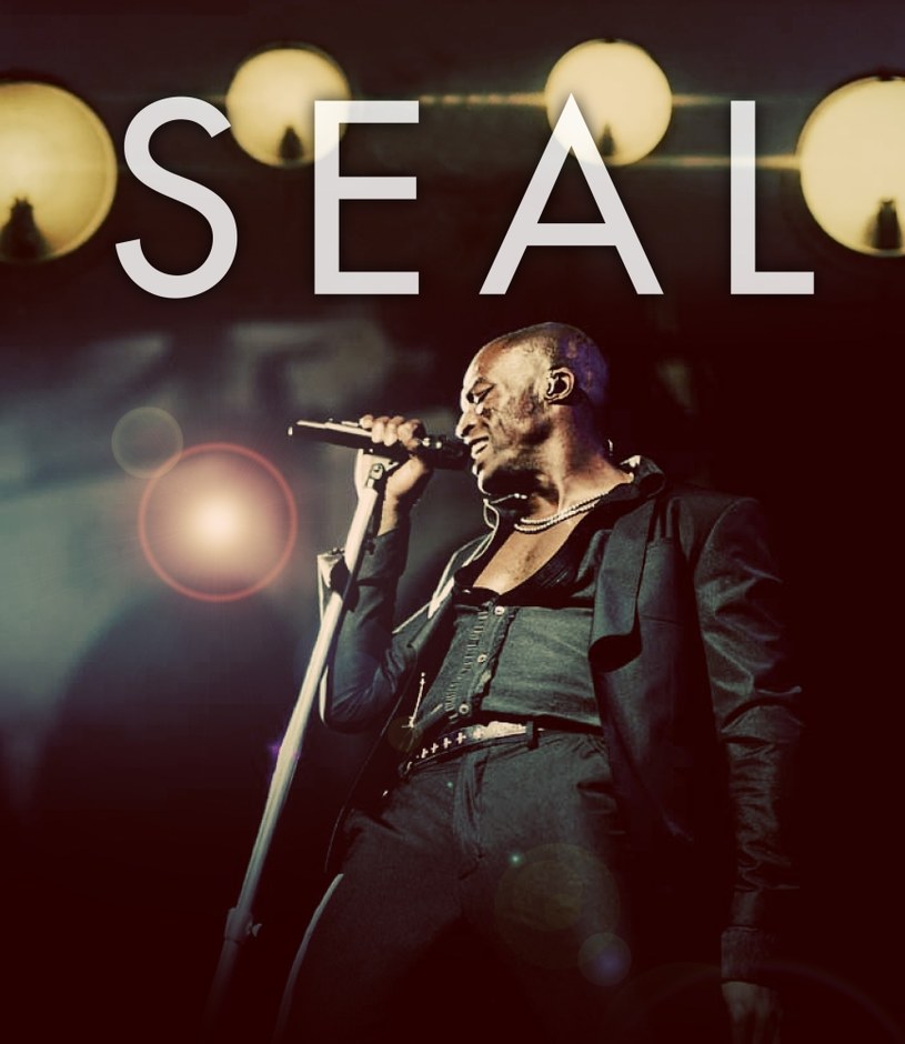 Koncerty Seal'a to będzie niewątpliwie jedno z największych wydarzeń muzycznych tej jesieni /materiały prasowe