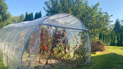 Końcówka września na działce: Grabię żółte liście, już widać jesień