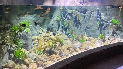 ​Kończy się rozbudowa Akwarium w Gdyni. Ekspozycja powiększy się o jedno piętro