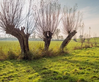 Kończy się wyjątkowy miesiąc. Cieplej niż w niejednym marcu