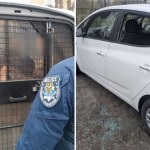 Konduktor wyprosił go z pociągu. Wyładował swoją złość na samochodach